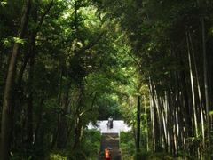 -青龙山国家森林公园