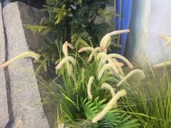 -暴风岛沉浸式体验馆(百联世纪店)