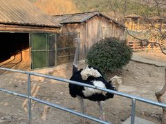 -无锡动物园·太湖欢乐园