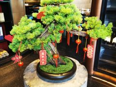 -映水芙蓉(上海万象城店)