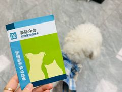 -美联众合爱康动物医院•复杂内科•肿瘤科•牙科•腔镜诊疗中心