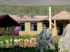 -哈尔滨北方森林动物园