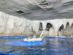 -太平洋海底世界