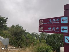 -阳台山自然风景区