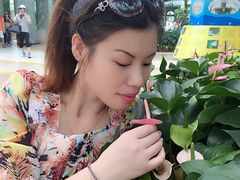 -东部华侨城