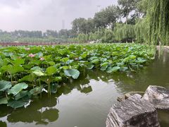 -中国农业博物馆