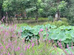 -北京奥林匹克公园