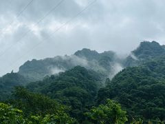 -峨眉山风景名胜区