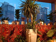 -火塘云南烧烤大排档