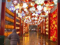 -北戴河集发农业梦想王国