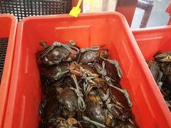 -老财炒饭·熟地蟹·冬瓜蟹