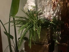 -北平小院设计酒店