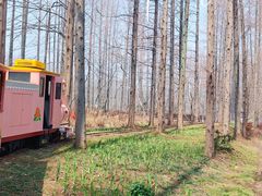 -黄海国家森林公园