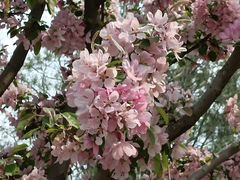 -元大都城垣遗址公园