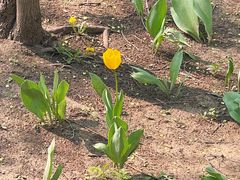 -哈尔滨文化公园