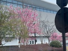 -杭州萧山国际机场
