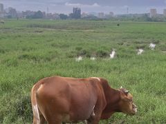 -理疗君·古法推拿姜疗SPA馆(东门店)