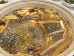 -土连锅·现熬养生汤锅(梁家巷店)