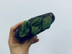 双层抹茶奶酥碱水棒-天井·丑面包搭咖啡