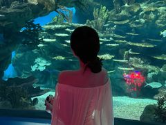 -海合安武汉极地海洋公园