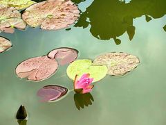 -国家植物园南园