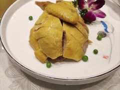 白斩鸡-鑫鑫大酒店(共和新路店)