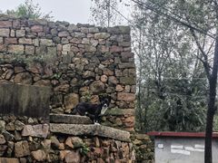 -黄巢水库