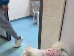 -动物缘宠物医院·骨科·猫科(西二环店)