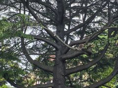 -青岛德国总督楼旧址博物馆
