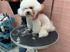 -FAELING PETS美天灵宠物(合生汇店)