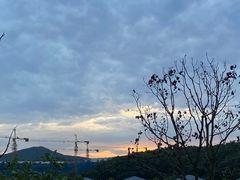 -北马山庄植趣咖啡