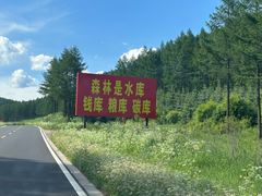 -塞罕坝国家级自然保护区