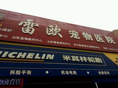-瑞派雷欧宠物医院·24h夜诊·心脏骨科牙科·全科重症转诊中心(无影山店)