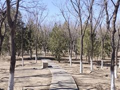 -绿堤公园