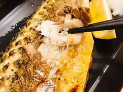 -一本钓鲔鱼屋