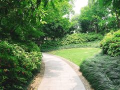 -杭州城北体育公园