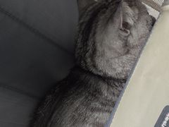 -心仪动物医院·牙专科·肿瘤·心脏科(西客站院)