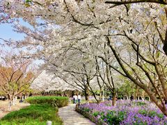 -白塘生态植物园