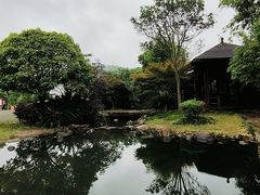 -蔡伦竹海
