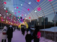 -沈阳奥体冰雪嘉年华