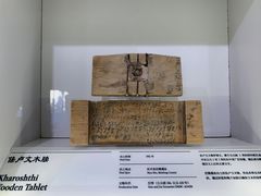 -精绝七日-新疆尼雅遗址数字大展【拉法耶文化艺术中心】