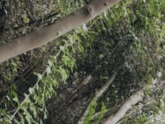 -梅岭月亮湾山体公园