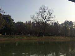 -解放公园