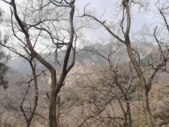 -泰山风景名胜区