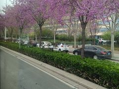 -石家庄站