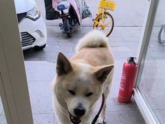 -宠福鑫康馨动物医院·骨科·眼科