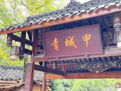 -青城甲(青城山店)