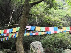-抱龙峪