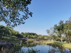 -映月湖公园