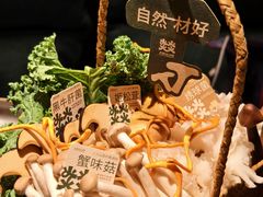 -大龙燚·旷野鲜火锅(广州首店)